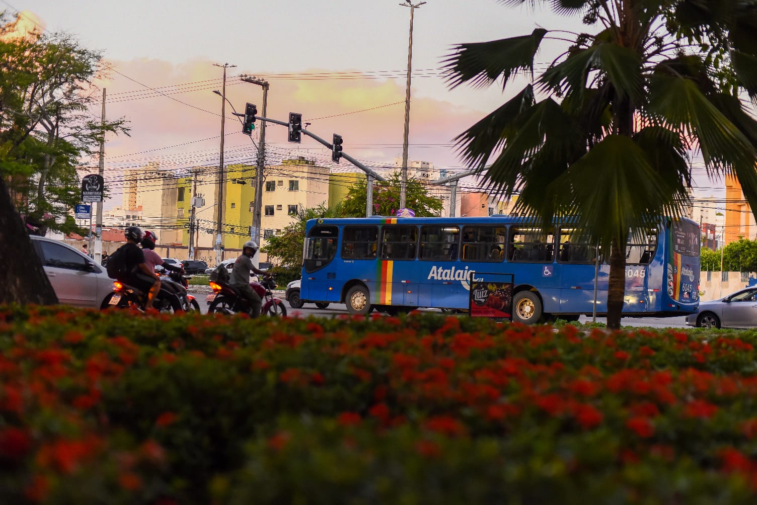 Leia mais sobre o artigo Programa Despoluir oferece orientação gratuita para impulsionar o desenvolvimento socioambiental das empresas de transporte