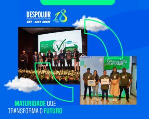 Leia mais sobre o artigo Despoluir completa 18 anos de compromisso com mobilidade urbana sustentável